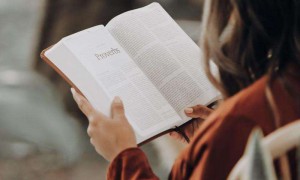 关于Facebook的英文短文介绍和概览
